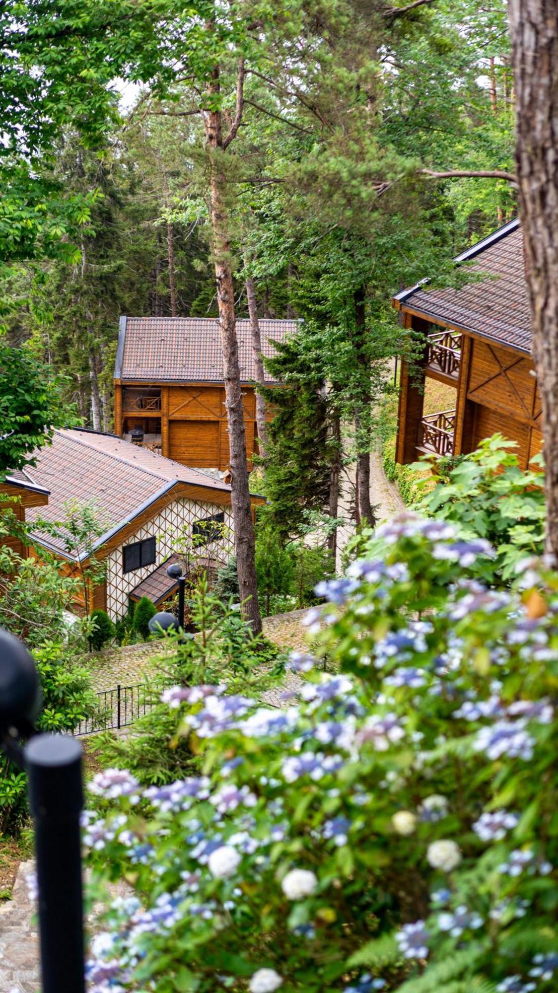 Hancioglu Orman Evleri & Hotel Trabzon Ngoại thất bức ảnh
