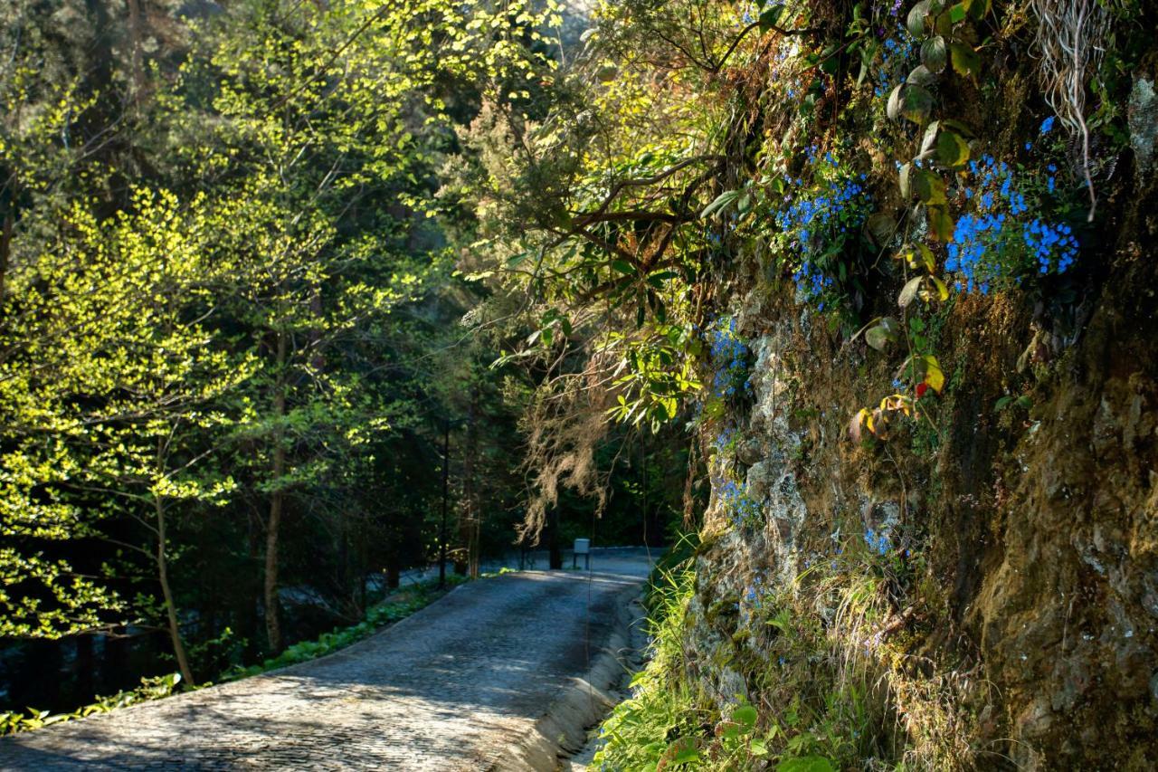 Hancioglu Orman Evleri & Hotel Trabzon Ngoại thất bức ảnh