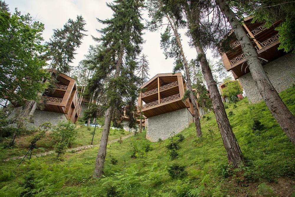 Hancioglu Orman Evleri & Hotel Trabzon Ngoại thất bức ảnh