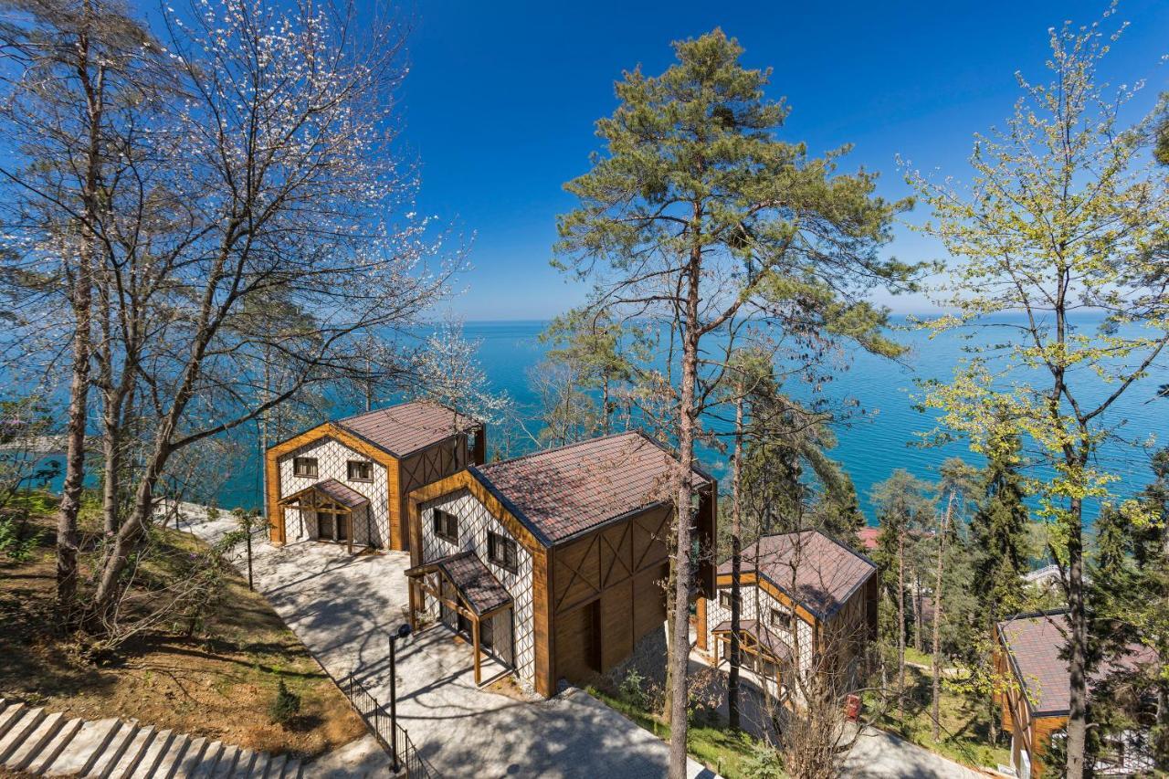 Hancioglu Orman Evleri & Hotel Trabzon Ngoại thất bức ảnh