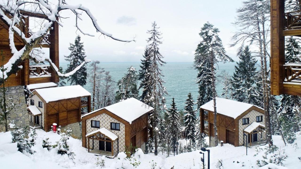 Hancioglu Orman Evleri & Hotel Trabzon Ngoại thất bức ảnh
